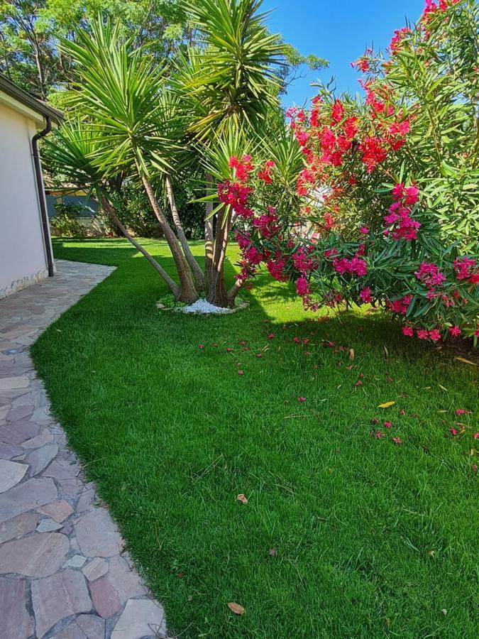 Gentarrubia Bed & Breakfast Capoterra Exterior photo
